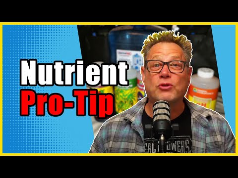 Feed Your Cannabis THESE Nutrients for Bigger Harvests