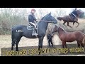 КАП-КАРА ЖООН АТ ЧЫКТЫ 🐎 Шуулдаган күлүктөр 🔥ӨЗГӨНДӨГҮ  ӨРТ АТТАР ТАЙЛАР