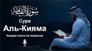 Сура Аль-Кыяма سورة القیامه | Аяты, успокаивающие душу нежным прикосновением утешение