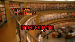 What does meronym mean