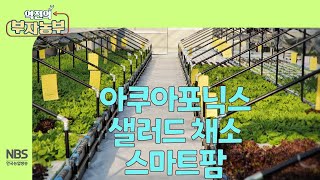 [역전의부자농부 278회] 아쿠아포닉스 샐러드 채소 스마트팜