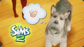 ULTRA-HOOD LEGACY // RIVERSIDE | SIMS 2 | PART 156 🦨 (Streamed on 9/24/2021)