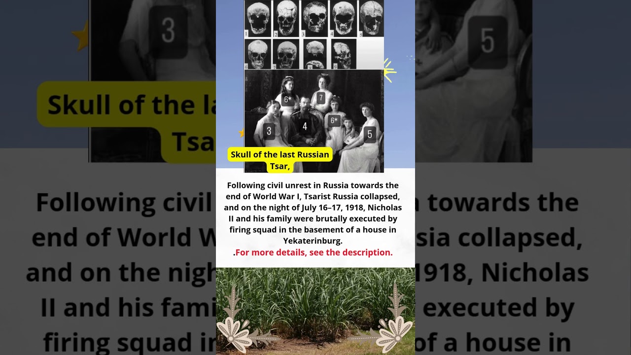 Skulls of the last Russian Tsar, Nicholas II, and his family