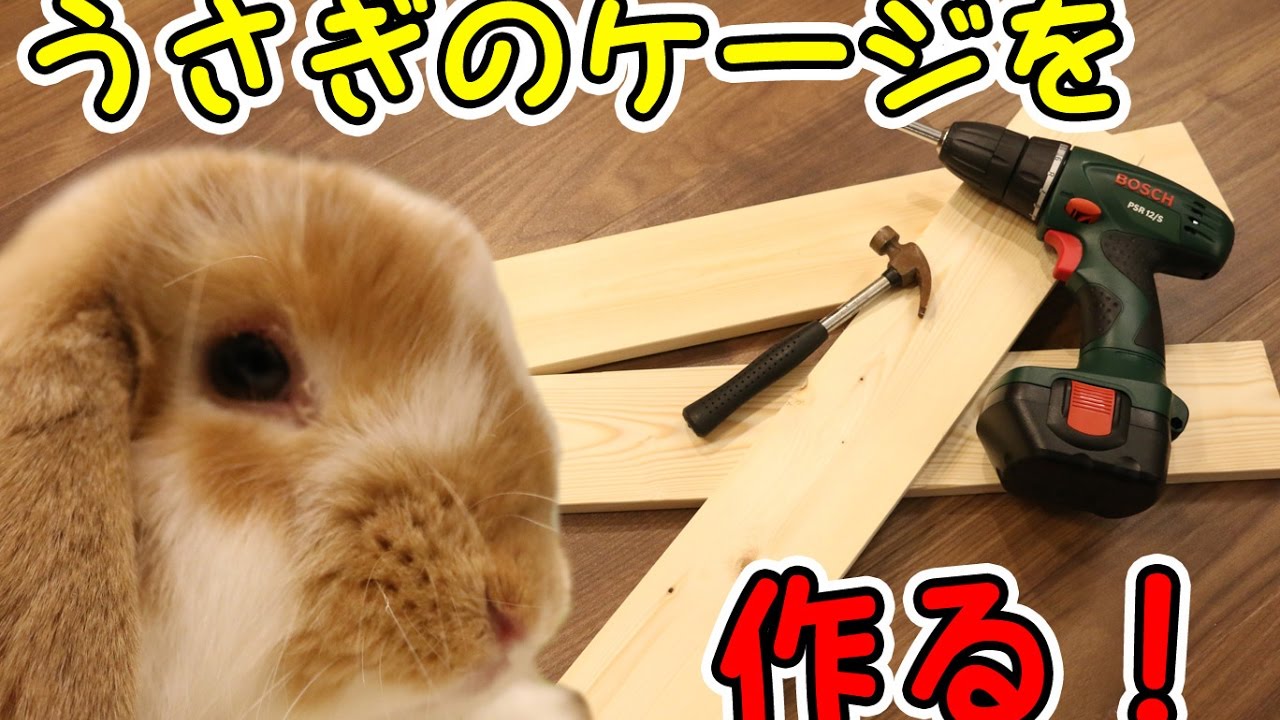 うさぎの部屋 ケージ をdiyで作ってみる Part 1 Make A Rabbit Cage Part 1 Youtube