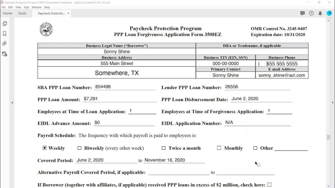 Paycheck Protection Program IRS Form 3508 EZ YouTube