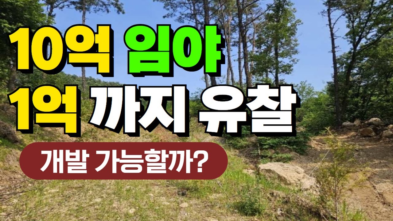 용인 임야 10억에서 1억까지 유찰 (개발 가능할까?)