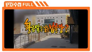 [Full] 황금알을 낳는 납골당_MBC 2002년 3월 21일 방송