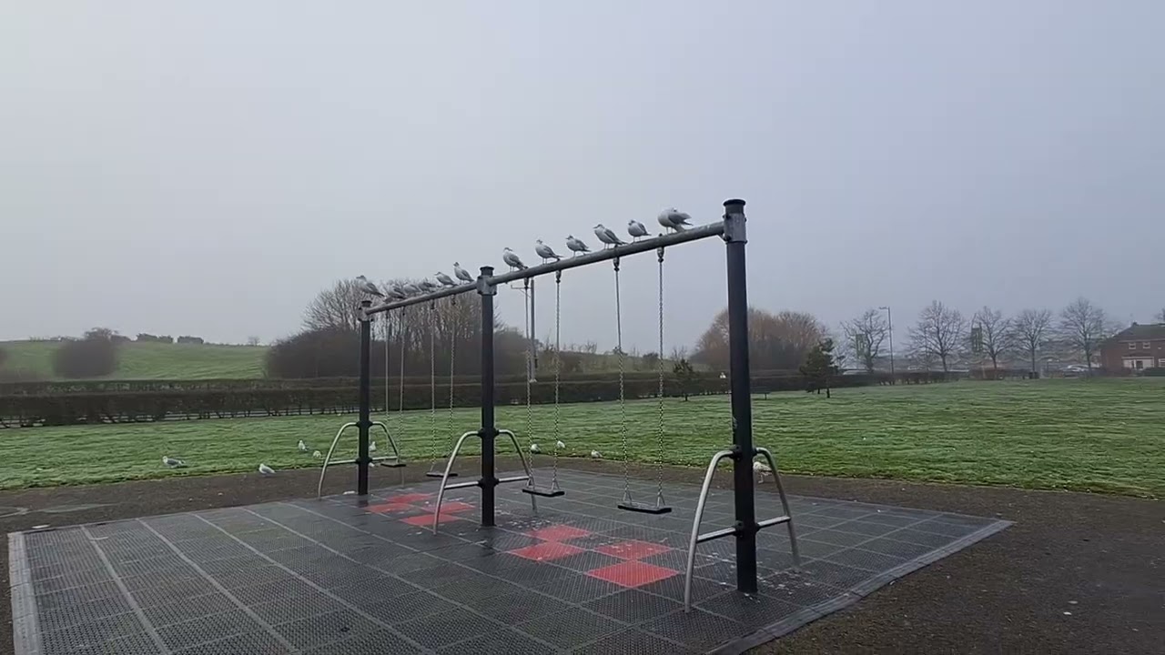 Peaceful Morning Walk | Calm Park, Birds & My Cute Cat | Relaxing Nature