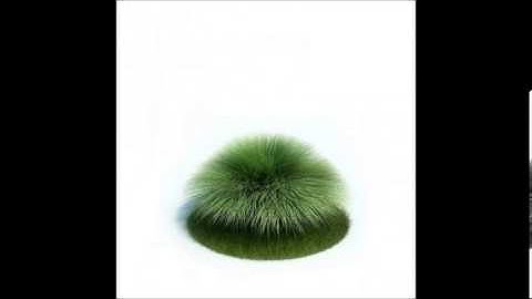 Bush 3D Model | Plants / Trees 3D Models | max, 3ds, c4d, obj, lwo