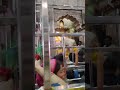 #shorts#yts#explorepage #bome #song#bhakti#vaishnodevi