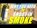 Why you need to shoot in Smoke CS2