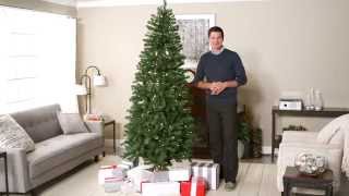 Classic Pre-lit Christmas Tree - 7.5 ft. - Product Review Video Classic Pre-lit Christmas Tree - 7.5 ft. - Product Review Video