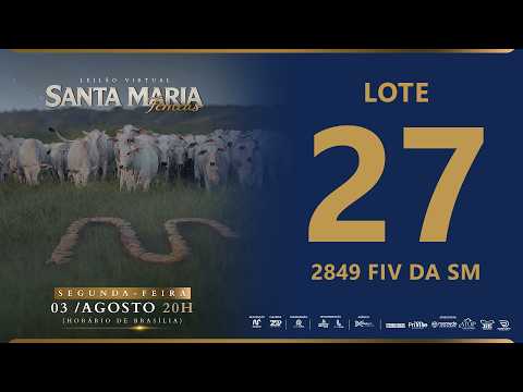 LOTE 27 FSM A2849