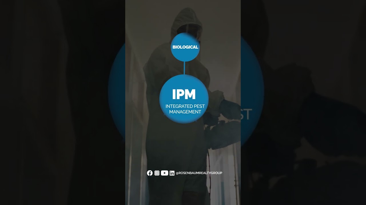 Pest Control in Arizona: A Property Manager's Guide