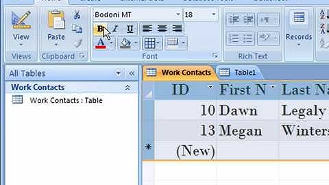 Format the Datasheet in Access 2007