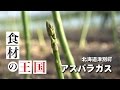 【食材の王国】津別町のアスパラガス生産者山内さん完パケ