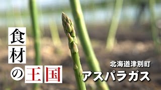 【食材の王国】津別町のアスパラガス生産者山内さん完パケ