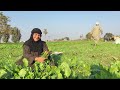 والنبي يا جميل وديني عند النبي وأشوف بعيني ده النبي عدة وفات علمونا وعرفوا 