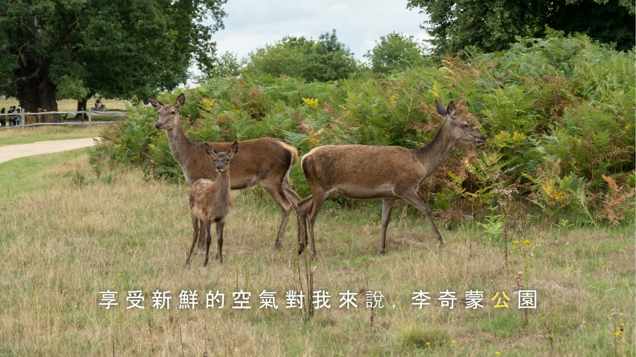 DSC00872 Vids Chn Richmond