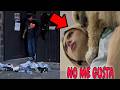 LOS FANS DE ABRAHAM VAN A LA CASA DE YOLO 💀(Karen torres habla de Abraham)