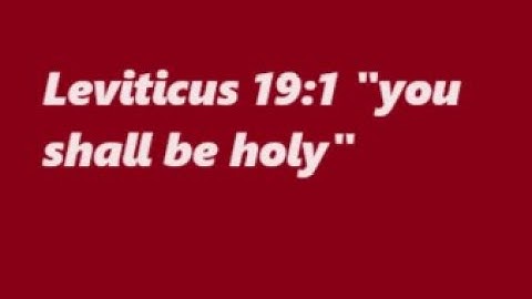 Leviticus 19: The Book of Leviticus, Catholic Bible Study, Fr. Tim Peters