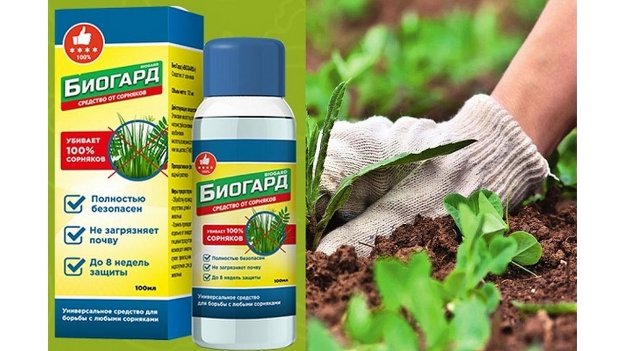 В Каком Магазине Можно Купить Биогард