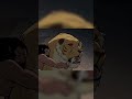 Primal season 2 episode 10 little spear and his father vs sabertooth cats shorts