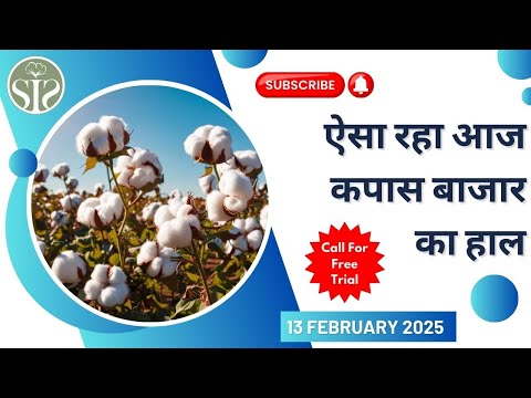 सम्पूर्ण भारत का कपास बाज़ार || Aaj ka kapas bazar || Today's Cotton market  #cotton #kapas #cci