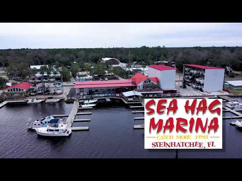 Sea Hag Marina - Steinhatchee Florida Fishing Marina Resort