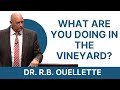 What are you doing in the vineyard  dr rb ouellette 1992