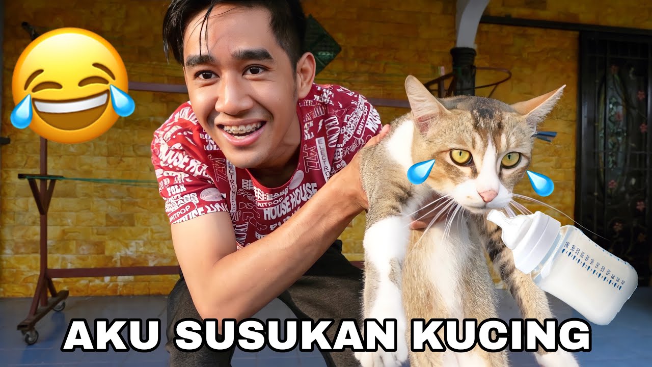 AKU SUSUKAN KUCING 😂🍼 KESIAN ADA KUCING MAT1 😢