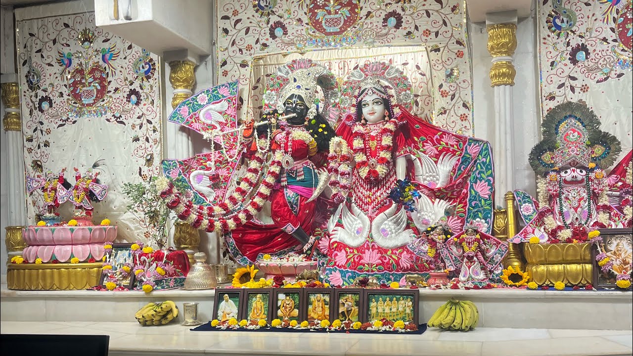 Ekadashi Day Vlog 🙏 #support #minivlog #tulunad #dailyvideo #tuluvlogs #dailyvideoblog #dailyvlog 