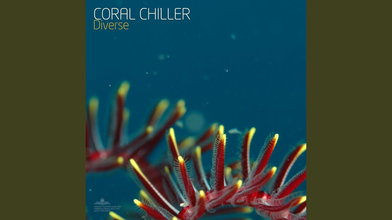 Guarda Shells su YouTube Guarda Shells su YouTube