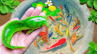 Most Amazing Catch Catfish in Tiny Pond, Guppies, Betta Fish, Angelfish, Goldfish, Koi, Turtles