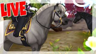 NEUES PFERD / NEUE QUEST 🐴 WARTE STREAM SERVER 12 | Star ...