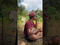 Take a break first then come breakfast#gardening #farming #breakfast #trending #viral #shorts