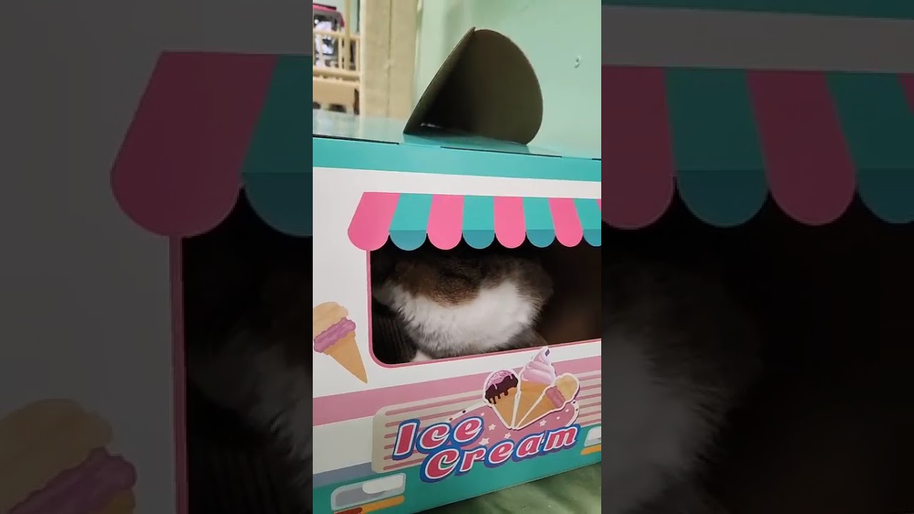 Night Night from the Kiddos! December 25, 2025