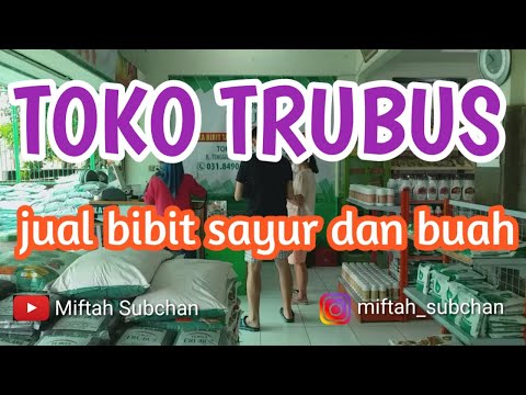 Polybag adalah kantong plastik berwarna hitam yang biasanya digunakan untuk bertanam sebagai penggan. 