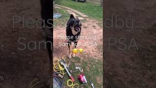 Please standby for a PSA from Sam