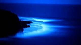 Yaşar Taner Tenor Saxophone