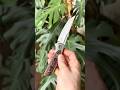 Liong Mah Warrior 3 Reate OEM Mars Valley FatCarbon Fiber M390 Orange Peel Titanium Framelock #edc