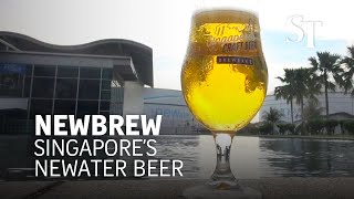 Newbrew, the Newater beer to go on sale in Singapore Newbrew, the Newater beer to go on sale in Singapore