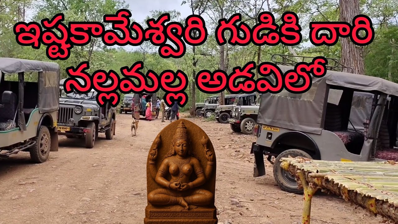 Ishtakameshwari Way 🏞️– Nallamala Secrets Uncovered!