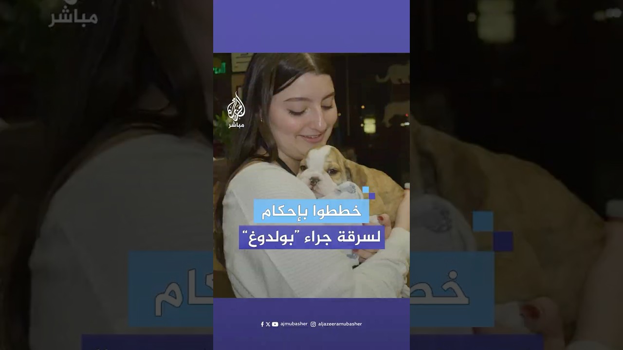 تظاهر أحدهم بالمرض ليسرق آخر جراء الكلاب.. عملية سرقة منظمة داخل متجر حيوانات أمريكي