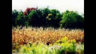 May the Sun Shine - Nazareth