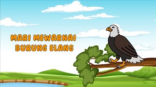 Mewarnai Gambar Hewan Burung Elang - Edukasi Anak Mengenal Nama Hewan Mewarnai Gambar Hewan Burung Elang - Edukasi Anak Mengenal Nama Hewan