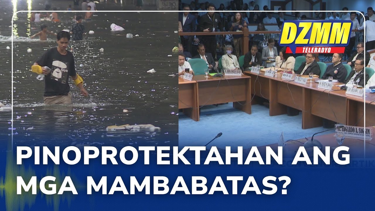 House, Senate should be probed in flood project mess: group | DZMM ...