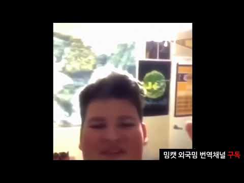 (MEMECAT밈캣)시험치기전에 딱 한번만 더 볼 밈(한글자막V35)