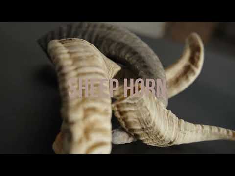 What makes Sheep Horns beneficial for dogs to chew?