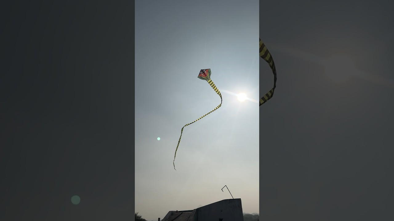 Snake Kite Makar Sankranti #devkeshorts #makarsankranti
